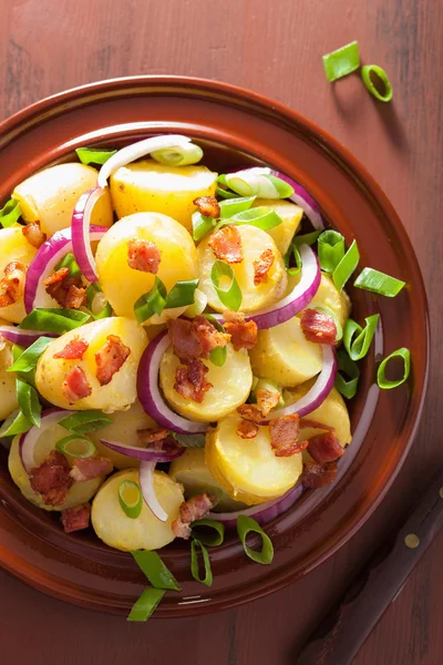 Salada de batata com mostarda de cebola de bacon — Fotografia de Stock