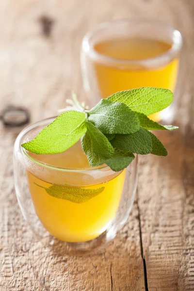 Herbal sage tea with green leaf in glass cup — Stock Photo, Image