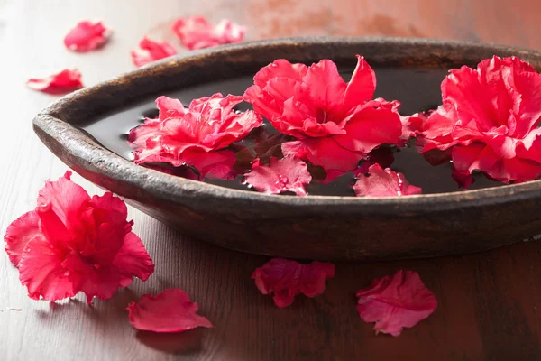 Azalea flowers in bowl for aromatherapy spa — 图库照片