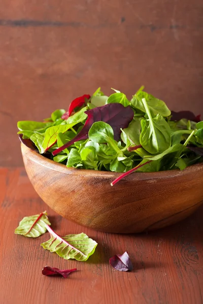 Fresh salad leaves in bowl: spinach, mangold, ruccola — Φωτογραφία Αρχείου