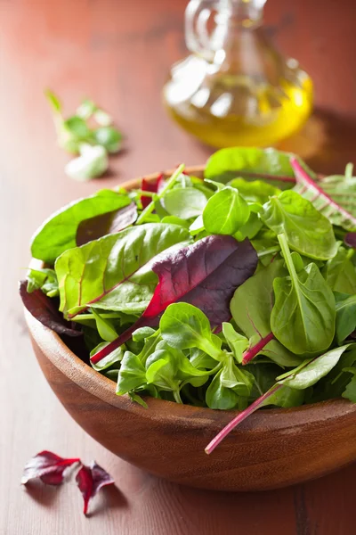 Fresh salad leaves in bowl: spinach, mangold, ruccola — Stockfoto