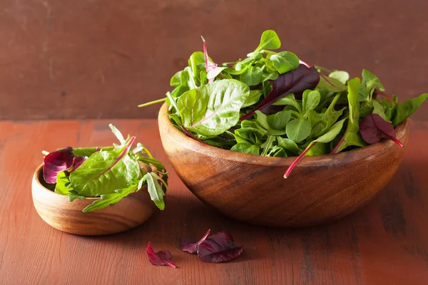 Fresh salad leaves in bowl: spinach, mangold, ruccola — Zdjęcie stockowe
