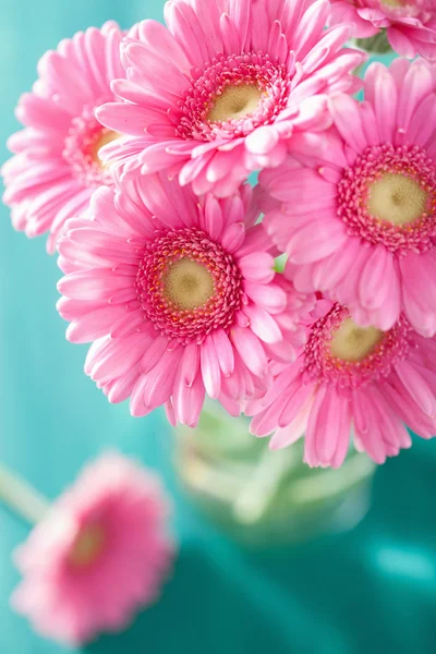 Belo buquê de flores de gerbera rosa em vaso — Fotografia de Stock