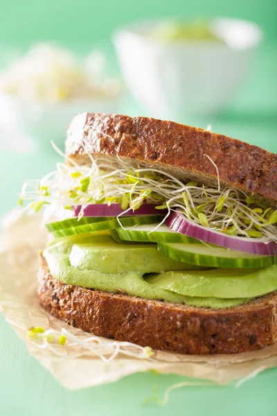 Gezonde rogge sandwich met avocado komkommer alfalfa spruiten — Stockfoto