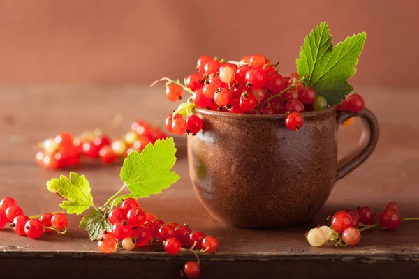 Fresh redcurrant in cup over rustic wooden background — Stock Photo, Image