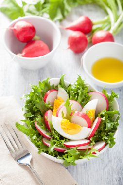 healthy radish salad with egg and green leaves
