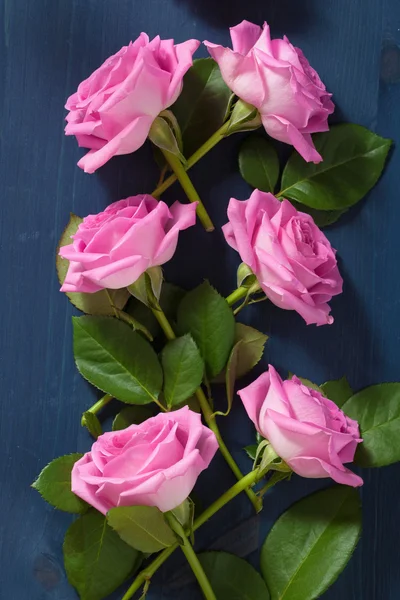 Rosa rosa Blüten auf dunkelblauem Hintergrund — Stockfoto