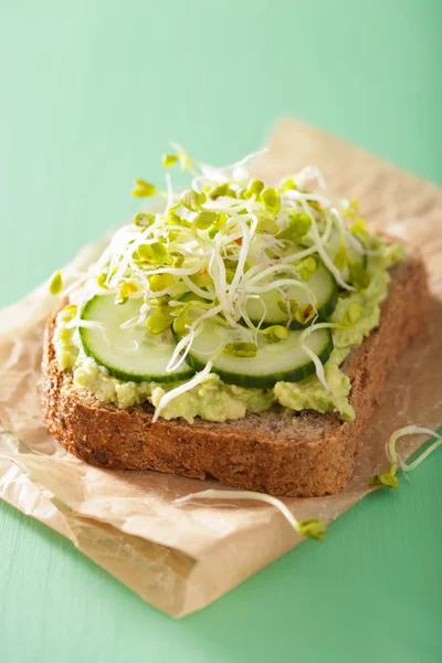 Gezonde roggebrood met avocado komkommer radijs spruiten — Stockfoto