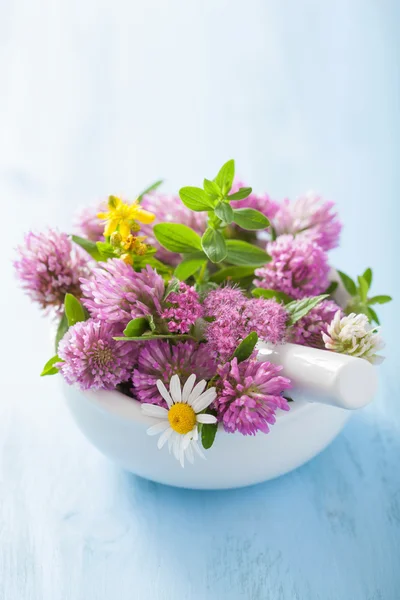 Colorful medical flowers and herbs in mortar — Stock Photo, Image