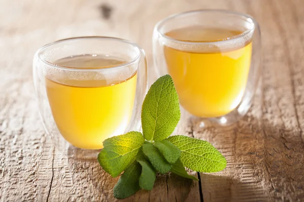 Herbal sage tea with green leaf in glass cup — Stock Photo, Image