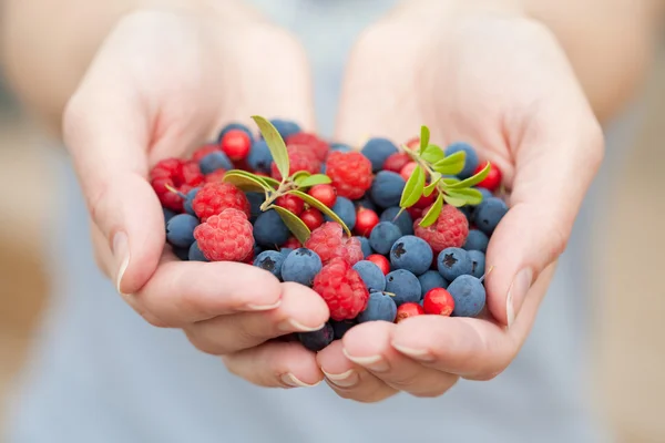 Mani con bacche fresche — Foto Stock