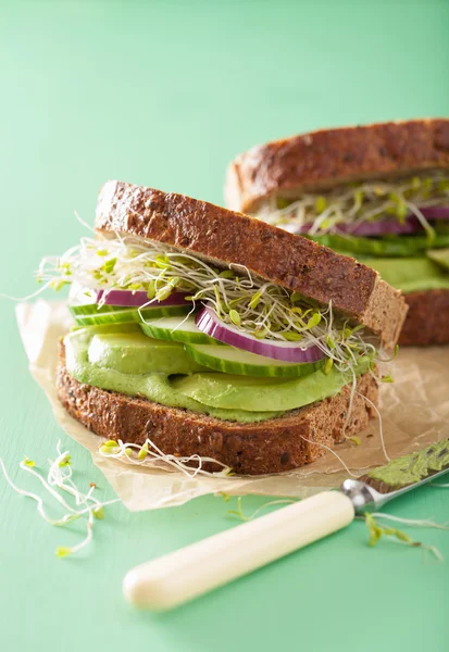 Gezonde rogge sandwich met avocado komkommer alfalfa spruiten — Stockfoto