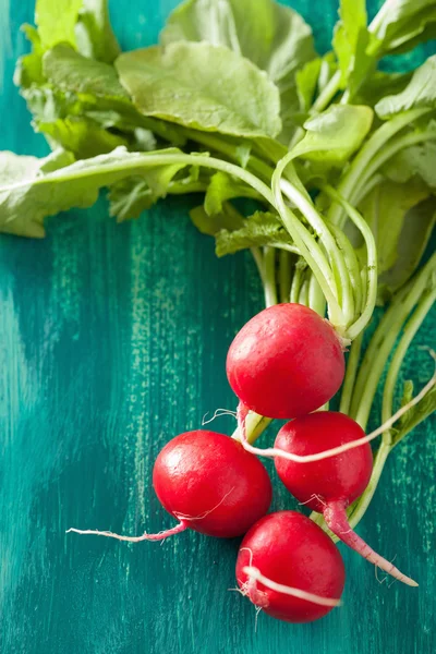 Rabanete fresco com folhas sobre fundo verde — Fotografia de Stock