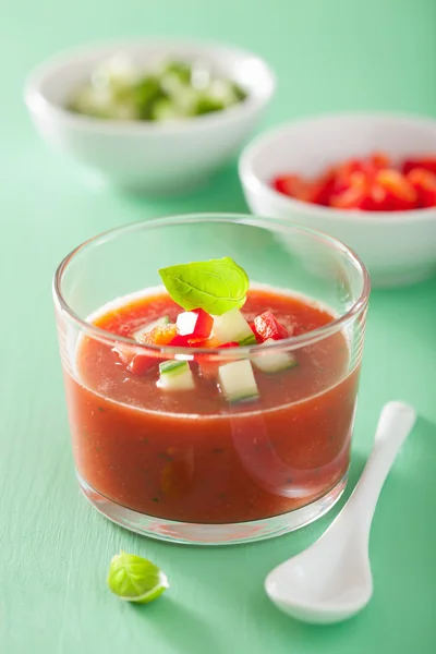 Sopa de gaspacho frio em vidro e ingredientes — Fotografia de Stock