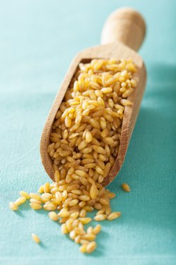 bir kepçe ham bulgur