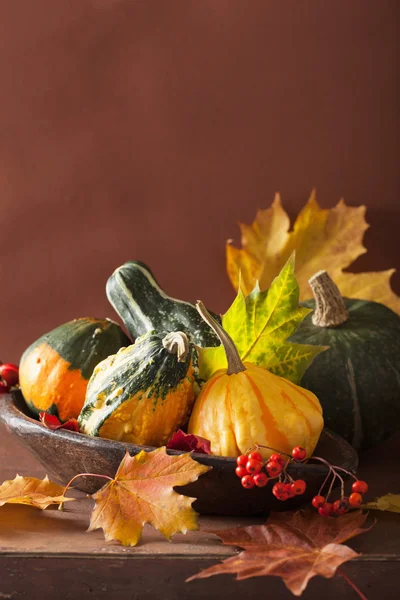 Dekorative Kürbisse und Herbstblätter für Halloween — Stockfoto