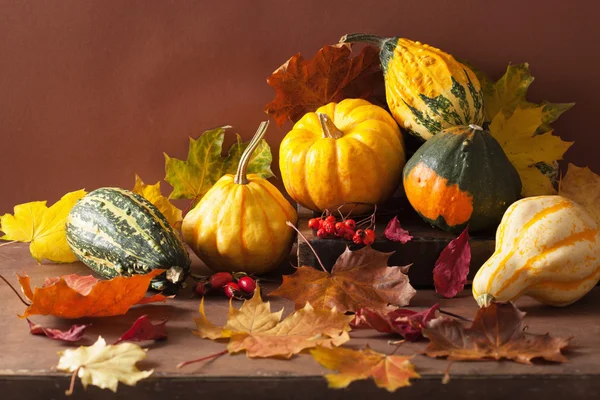Abóboras decorativas e folhas de outono para halloween — Fotografia de Stock