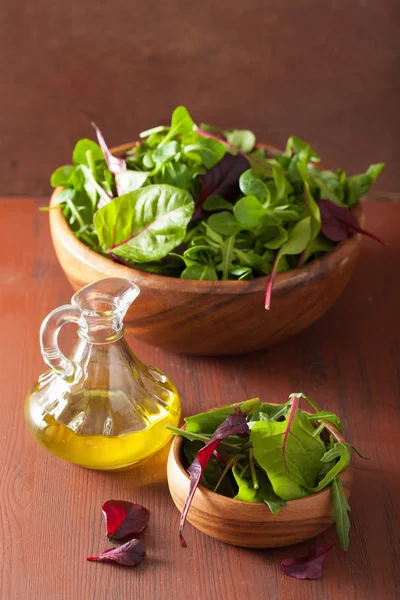 Fresh salad leaves in bowl: spinach, mangold, ruccola — Φωτογραφία Αρχείου