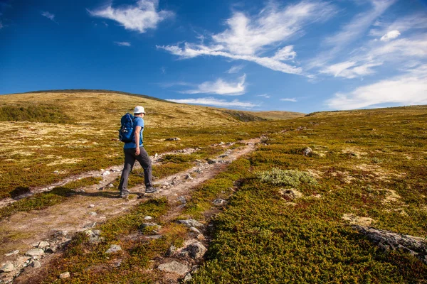 Hiker with backpack travelling in Norway mountains Dovre — Stockfoto