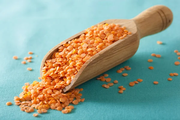 Raw healthy red lentils in scoop — Stock Photo, Image