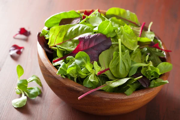 Fresh salad leaves in bowl: spinach, mangold, ruccola — 图库照片