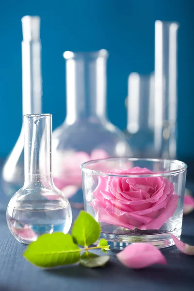 Alchemy and aromatherapy set with rose flowers and chemical flas — Stock Photo, Image