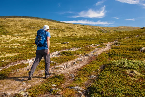 Wandelaar met rugzak reizen in Noorwegen bergen Dovre — Stockfoto