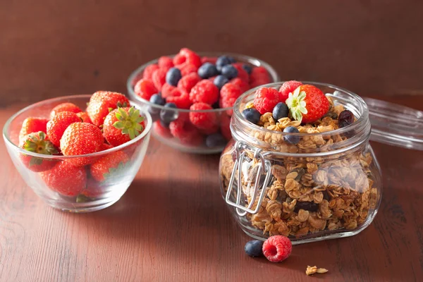 Hausgemachtes gesundes Müsli im Glas und Beeren — Stockfoto