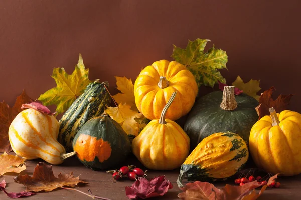 Calabazas decorativas y hojas de otoño para halloween — Foto de Stock