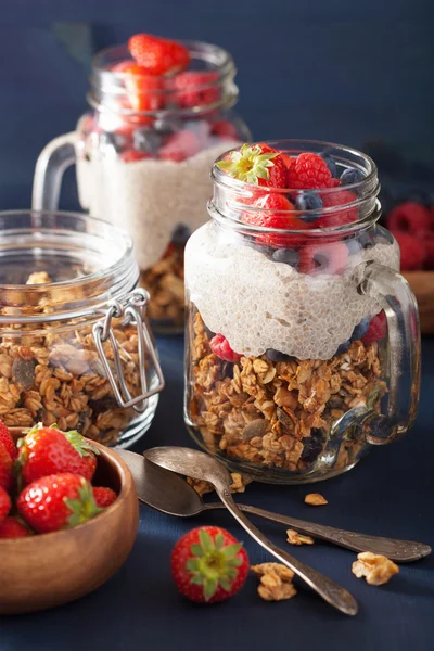 Granola casera y pudín de semilla de chía con desayuno saludable de bayas —  Fotos de Stock