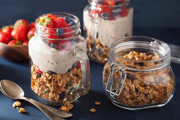 Domácí müsli a chia semen pudink s berry zdravá breakf — Stock fotografie