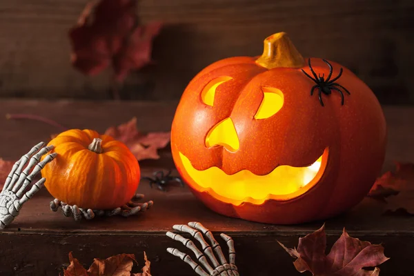 Halloween jack o laterne kürbis spinnen blätter — Stockfoto