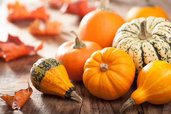 Decoratieve pompoenen en herfst bladeren voor halloween — Stockfoto