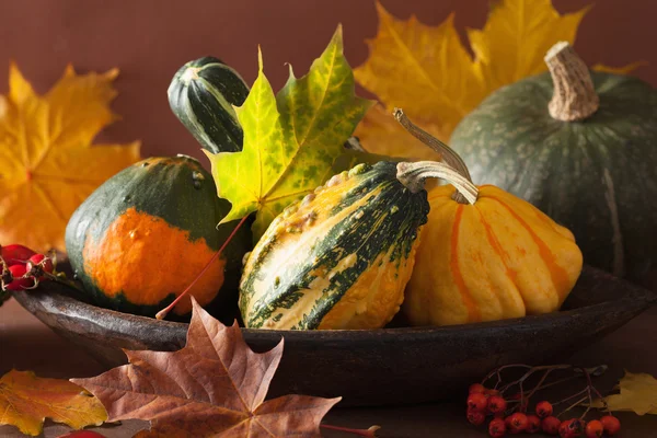Abóboras decorativas e folhas de outono para halloween — Fotografia de Stock
