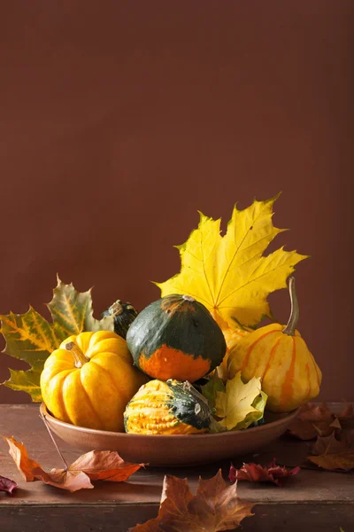 Calabazas decorativas y hojas de otoño para halloween — Foto de Stock