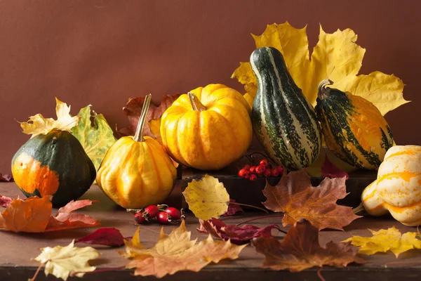 Dekorative Kürbisse und Herbstblätter für Halloween — Stockfoto