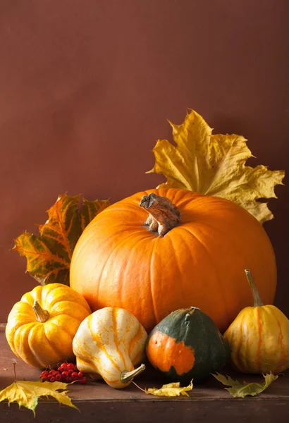 Calabazas decorativas y hojas de otoño para halloween — Foto de Stock