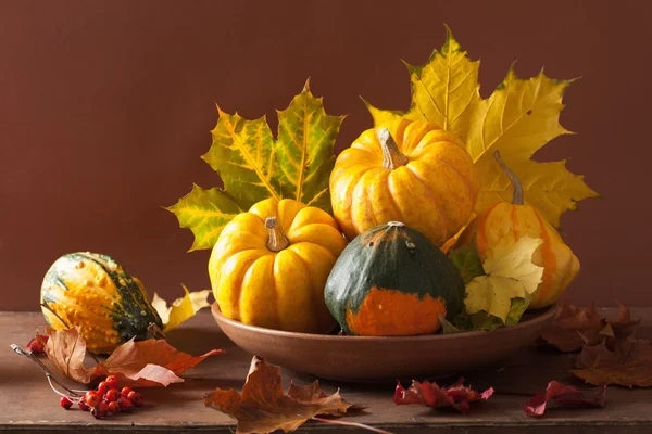 Dekorative Kürbisse und Herbstblätter für Halloween — Stockfoto