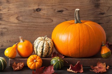 Dekoratif kabaklar ve Cadılar Bayramı için sonbahar yaprakları