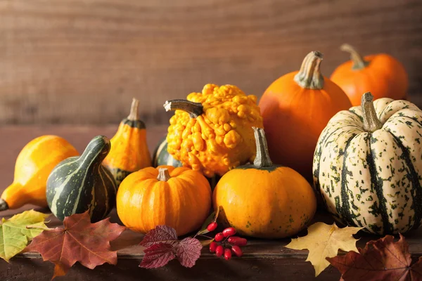 Calabazas decorativas y hojas de otoño para halloween — Foto de Stock