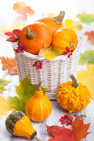Utumn halloween dekorative Kürbisse im Korb — Stockfoto