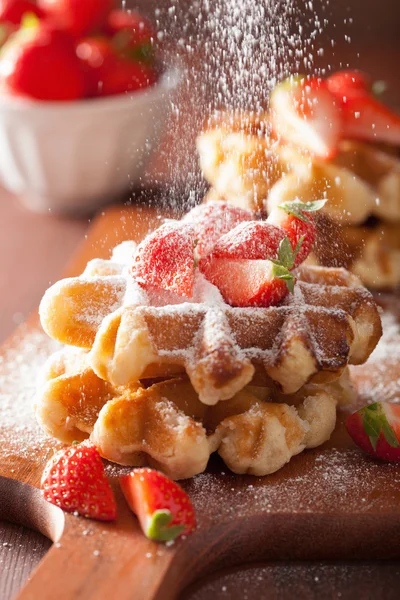 Belgian waffles with icing sugar and strawberry — Stock Photo, Image