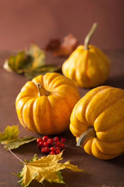 Dekorativní dýně a podzimní listí na halloween — Stock fotografie