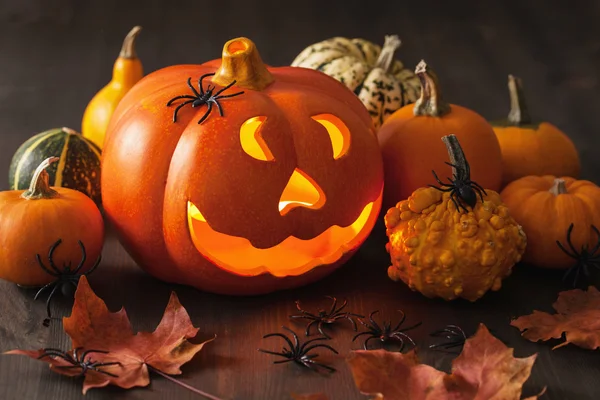 Halloween Jack O Lanterna zucca ragni candele — Foto Stock