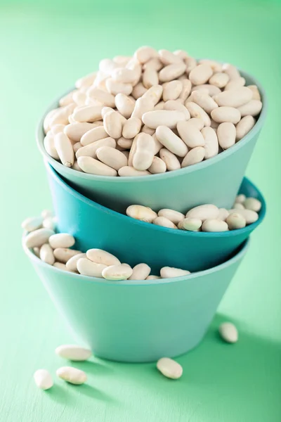 Raw haricot legumes cannellini beans in bowl — Stock Photo, Image