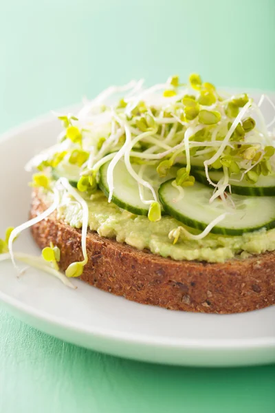Gezonde roggebrood met avocado komkommer radijs spruiten — Stockfoto