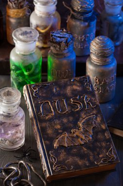 sihirli kitap cadı eczacı kavanoz iksir halloween dekorasyon