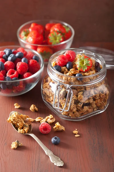 Egészséges házi granola üvegedénybe és bogyók — Stock Fotó