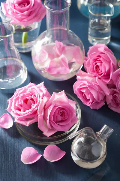 Conjunto de alquimia e aromaterapia com flores de rosas e flas químicas — Fotografia de Stock