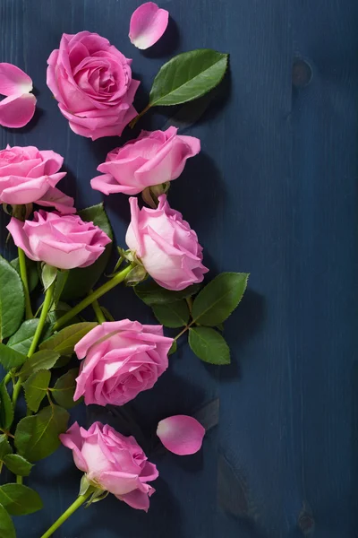 Ροζ τριαντάφυλλο λουλούδια πάνω από σκούρο μπλε φόντο — Φωτογραφία Αρχείου